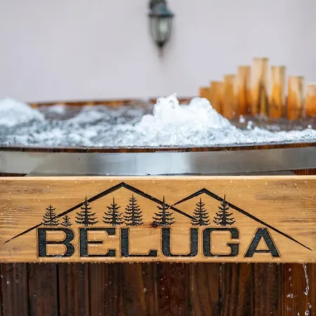 Beluga Guest house
