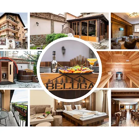 Beluga Guest house