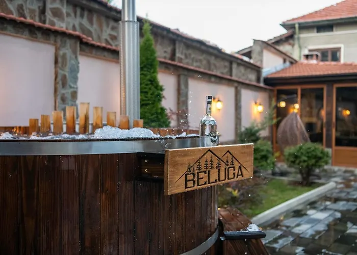 Beluga 3* ולינגראד