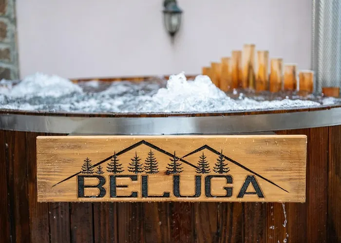 Beluga בית הארחה