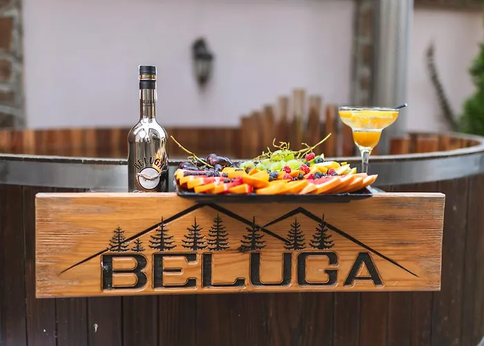 בית הארחה Beluga ולינגראד