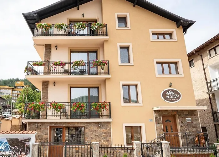 Beluga בית הארחה ולינגראד